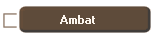 Ambat