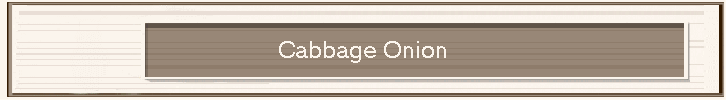 Cabbage Onion