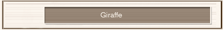 Giraffe