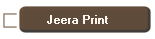 Jeera Print