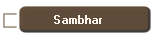 Sambhar